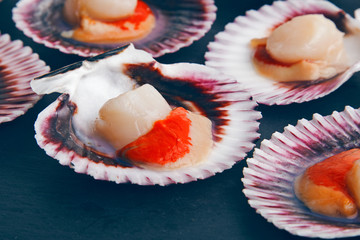 Scallops background close up