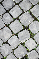 Paved road in Rome