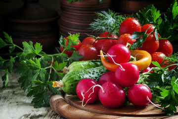 Fresh spring vegetables, radishes, cucumbers, tomatoes and herbs