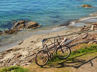 Fototapeta premium Bike at the beach