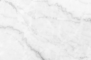 White marble background.