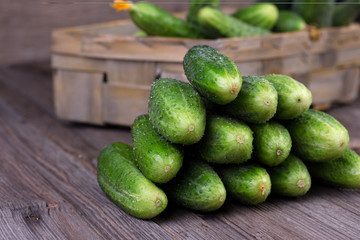 Cucumbers on a wooden background.