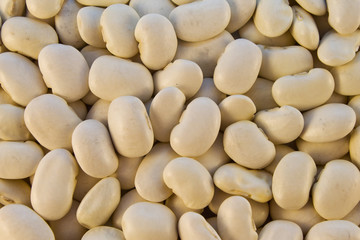 Beans white color closeup