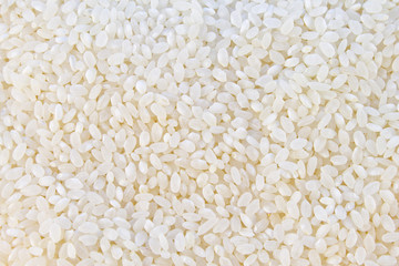 Rice white color closeup