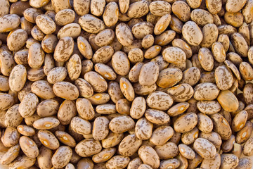 Beans brown color close-up