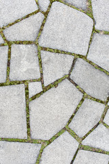 Obraz premium Texture