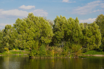 pond in a park
