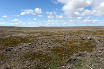 The national Park Pali Aike in the South of Chile.
