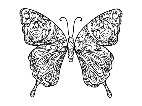 Butterfly coloring book for adults vector