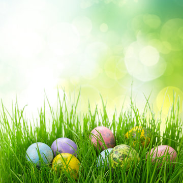 Easter eggs in grass 