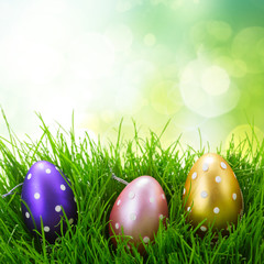 Easter eggs in grass 