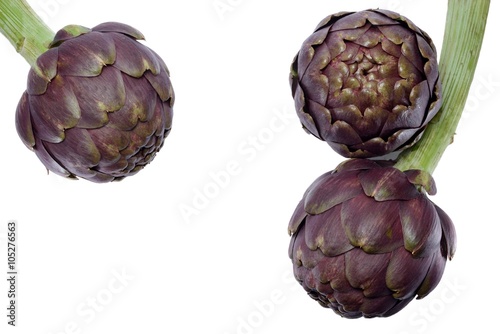 400_F_105276563_SutuNqS7hvF9Q9IMsxAdUzevYKinUIVn.jpg