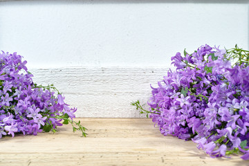 Purple campanula  blue bell flowers on wooden background