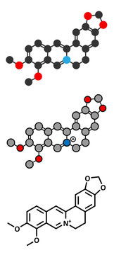 Berberine alkaloid molecule. Present in number of plants. 