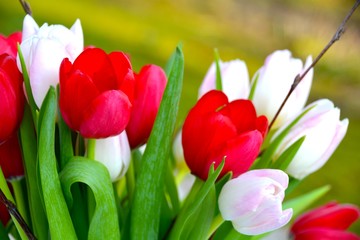 Grußkarte - Tulpenstrauß