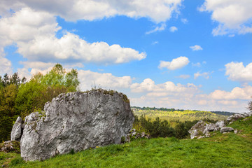Jurassic limestone rocks - Polish Jura.