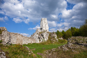 Jurassic limestone rocks - Polish Jura. Polish landscape.