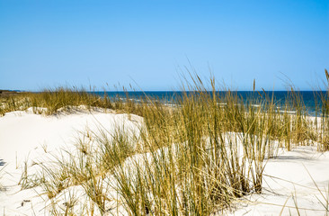 Beautiful dune with grass in the summer, landscape, Baltic Sea, Poland