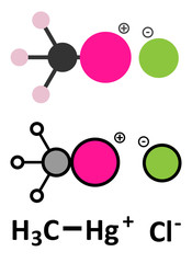 Methylmercury cation, chloride salt. Environmental pollutant.