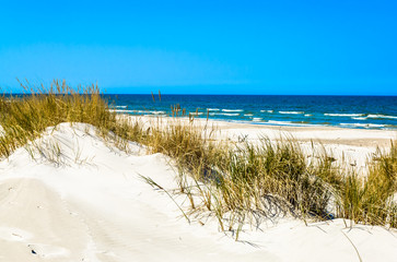 Beautiful sea landscape. Sandy beach and grass sand dune, Leba, Baltic Sea, Poland - obrazy, fototapety, plakaty