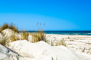 Beautiful sea landscape. Sandy beach and grass sand dune, Leba, Baltic Sea, Poland - obrazy, fototapety, plakaty
