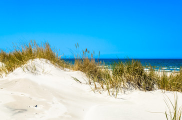 Obraz na płótnie Canvas Beautiful sea landscape. Sandy beach and grass sand dune, Leba, Baltic Sea, Poland