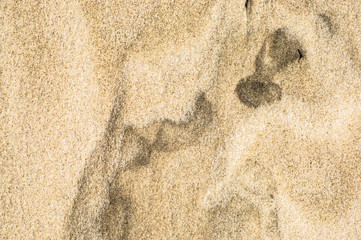 Wet sand texture, sandy beach for background, top view