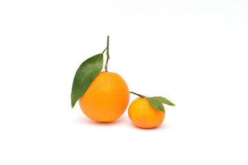 Orange and tangerine with leaves