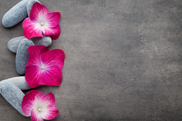 Obraz na płótnie Canvas Spa stones and flowers, on grey background.