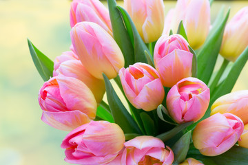 Spring flowers. Tulip bouquet on the bokeh background.