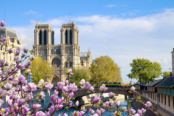 Notre Dame cathedral, Paris France © neirfy