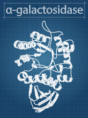 Alpha-galactosidase (Agalsidase) enzyme. Cause of Fabry's disease