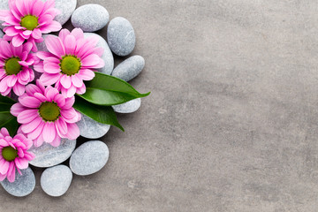 Naklejka na ściany i meble Spa stones and flowers on grey background.