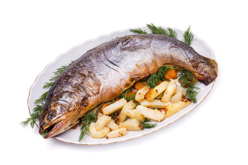 Baked fish with potato chips and dill on white background