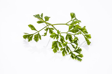 Fresh parsley isolated on white background