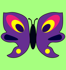 Obraz premium Butterfly image 5