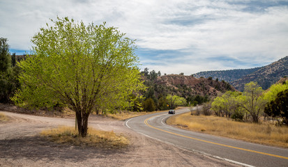 Fototapeta premium Open Road