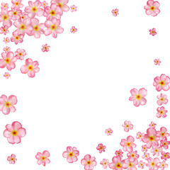 Fototapeta premium Abstract background with beautiful pink cherry blossom.