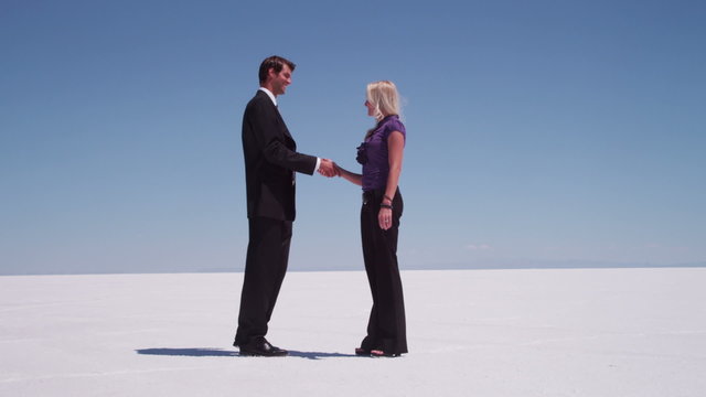 Businessman and businesswoman shake hands