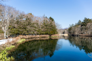 Fototapeta na wymiar Winter time of Water pond in karuizawa