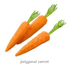 Polygonal Carrot
