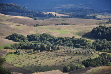 Toskania © sorensen15