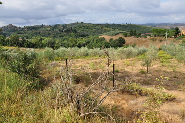 Toskania © sorensen15