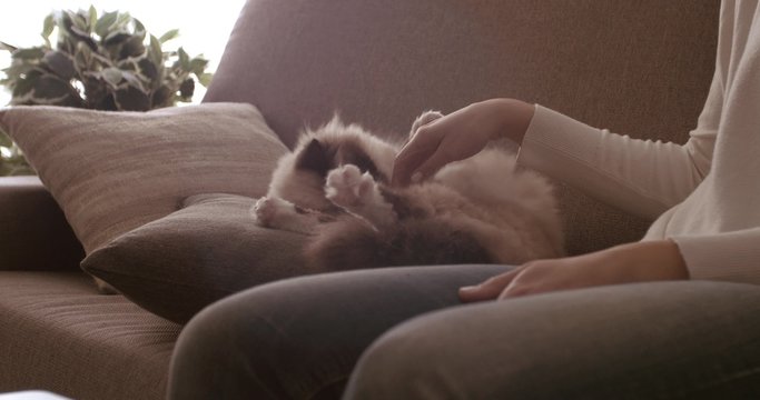 Woman at home relaxing on the sofa and playing with her beautiful birman cat
