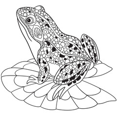 Obraz premium Żaba kreskówka stylizowane Zentangle, na białym tle. Szkic dla dorosłych kolorowanki antystresowy. Ręcznie rysowane doodle, zentangle, elementy kwiatowy wzór dla kolorowanka.