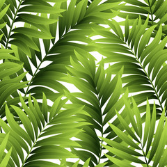 Leaves of palm tree. Seamless pattern. Vector illustration