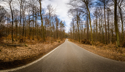 Fototapeta premium Landstrasse