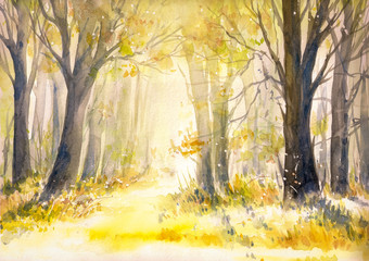 Forêt d& 39 été ensoleillée. Image créée à l& 39 aquarelle.