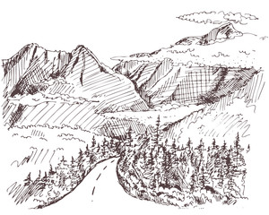 fir forest and mountains