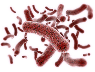 Virus cells
